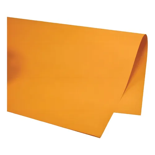 CARTOLINA CARMEM 48X66 C/20 LJ 420 REIPEL