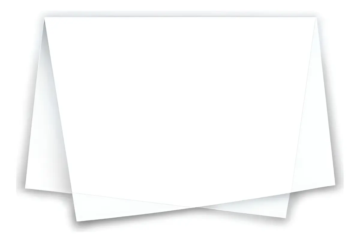 PAPEL SEDA 48X60 C/100 392 BR REIPEL
