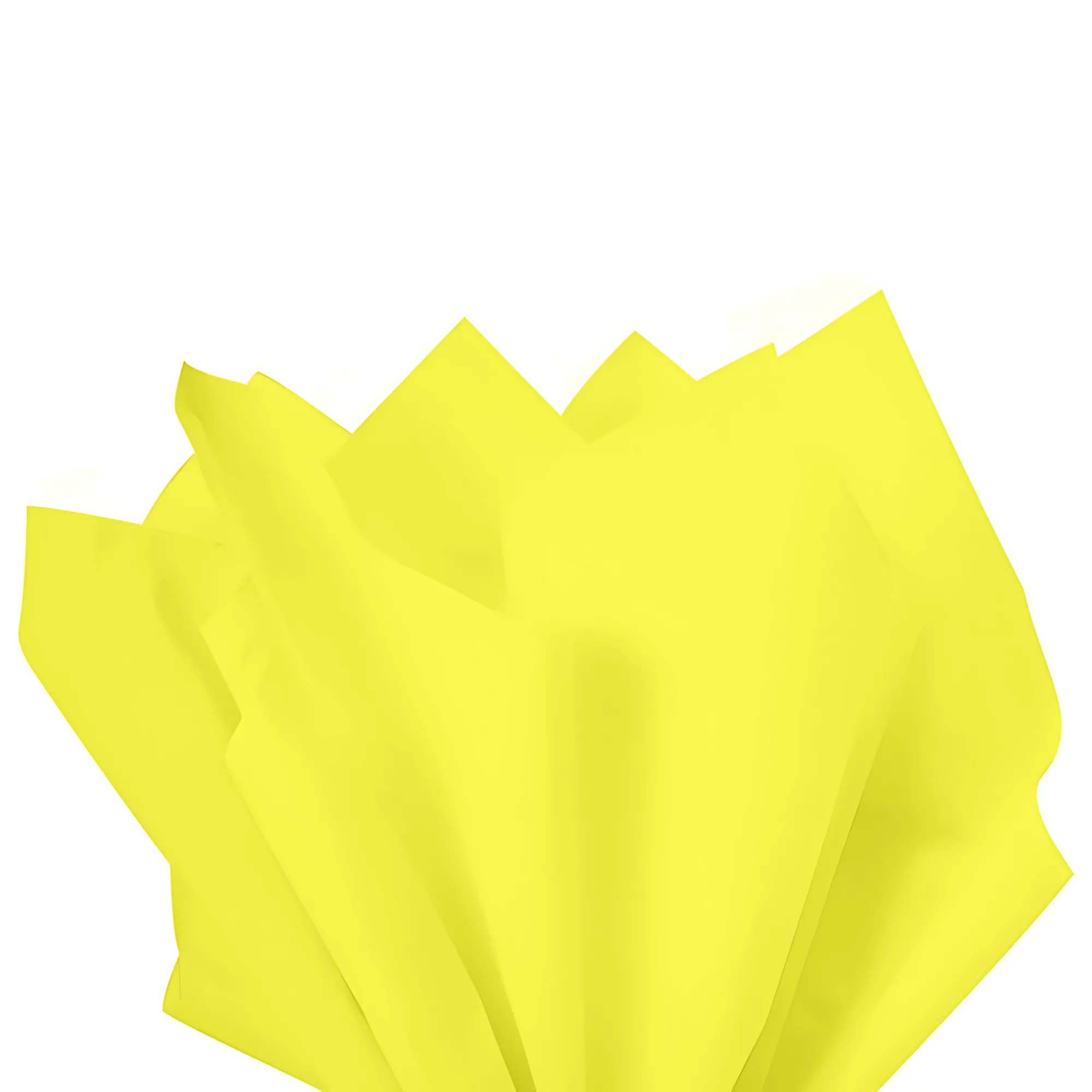 PAPEL SEDA 48X60 C/100 395 AM REIPEL