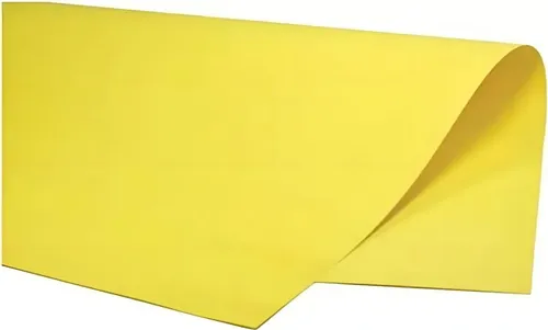 CARTOLINA CARMEM 48X66 AM C/20 PREMIATTA