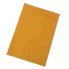 ENV SACO 229X324 80G AM SKO 330 FORONI