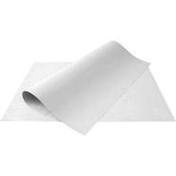 CARTOLINA COMUM 50X66 C/100 120G BR BIGN