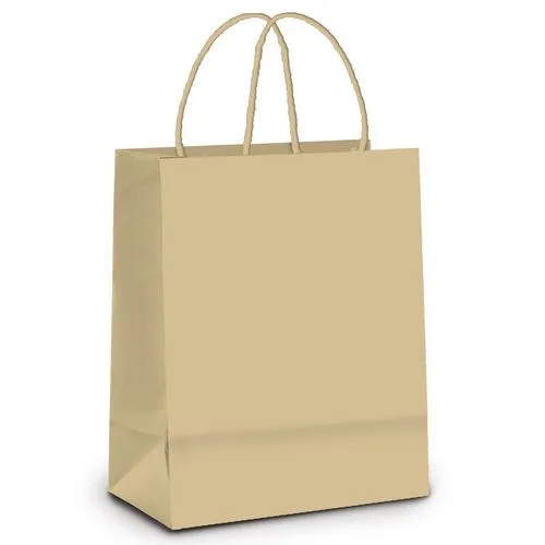 SACOLA KRAFT 80G TAM G 32X25 C/50 CROMUS