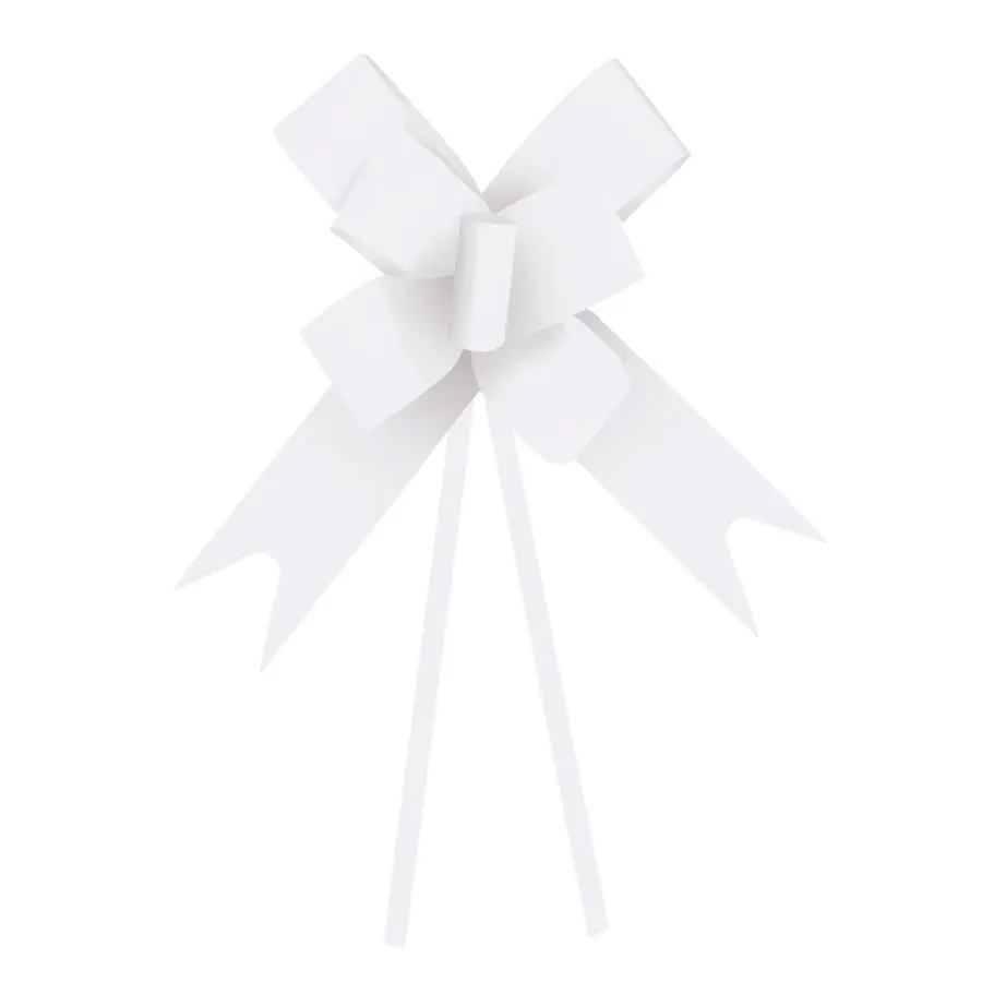 LACO P/PRESENTE PRONTO LISO 3X49MM C/10UN BR CROMUS