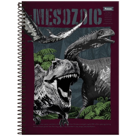 CADERNO UNIV CD 10M 160F C/4 SAUROS MASC FORONI