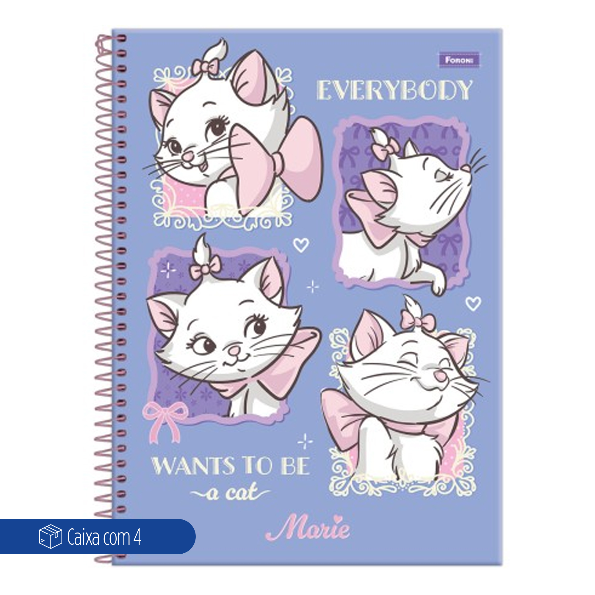 CADERNO ESP UNIV CD 10M 160F C/4 C/BOLSA E ADES MARIE FEM
