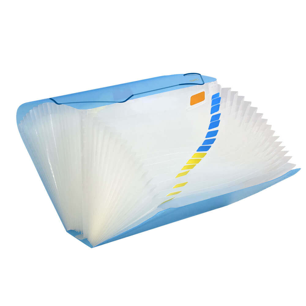 PASTA SANF A4 31 DIV 6018PP-CL DAC