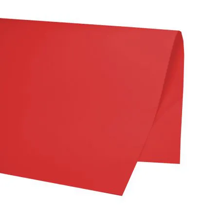 CARTOLINA CARMEM 48X66 LL C/20 PREMIATTA