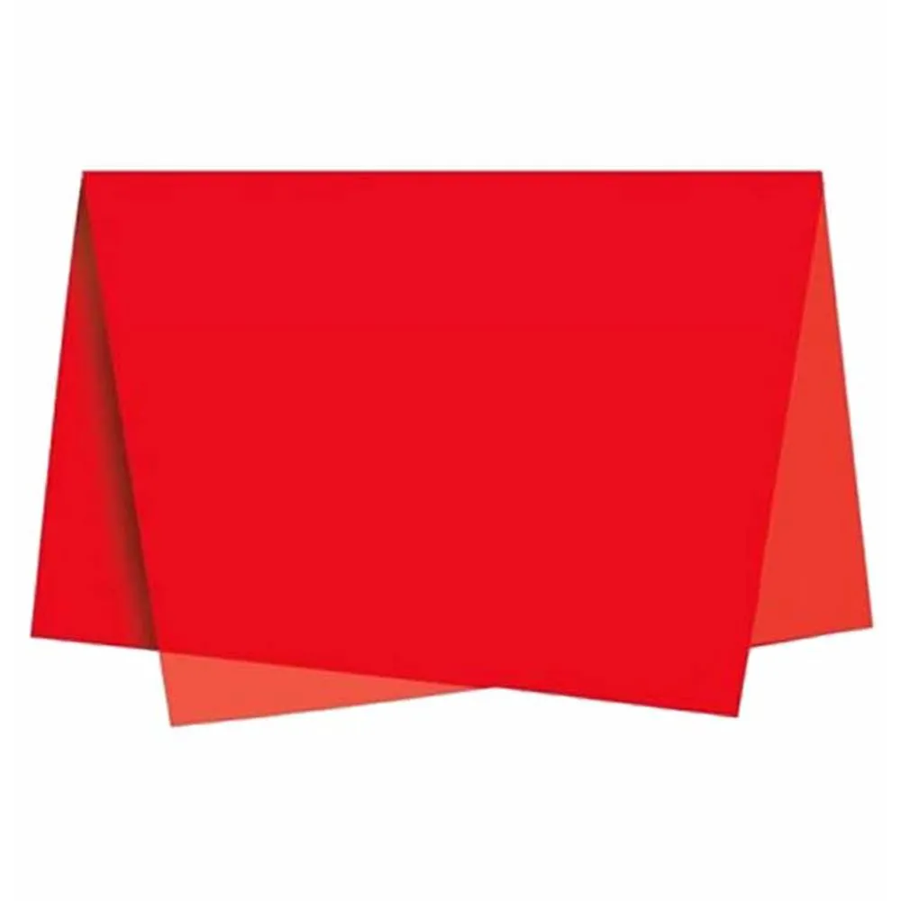 PAPEL SEDA 48X60 C/100 376 VM REIPEL