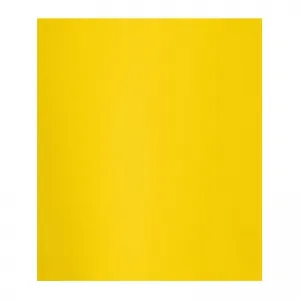 CARTOLINA GUACHE KB 48X66 AM BRILHO C/20 PREMIATTA