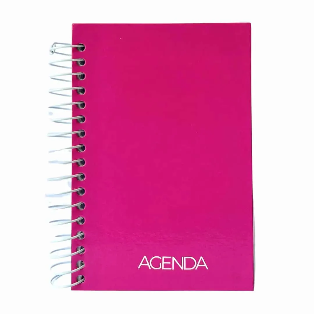AGENDA ESP CD PERM/CADERNETA 1/8 160F C/5 POP FEM BAAG