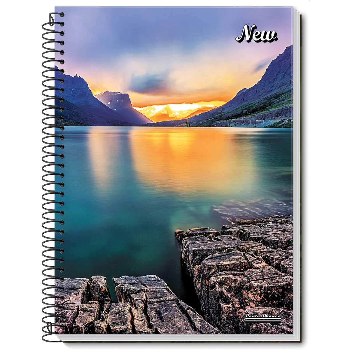 CADERNO ESP FLEX 1/4 96F C/10 NEW CORES PAUTA BRANCA